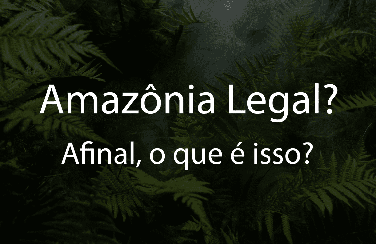 Amazônia Legal, entenda quais os riscos e benefícios na prática Amazônia Legal