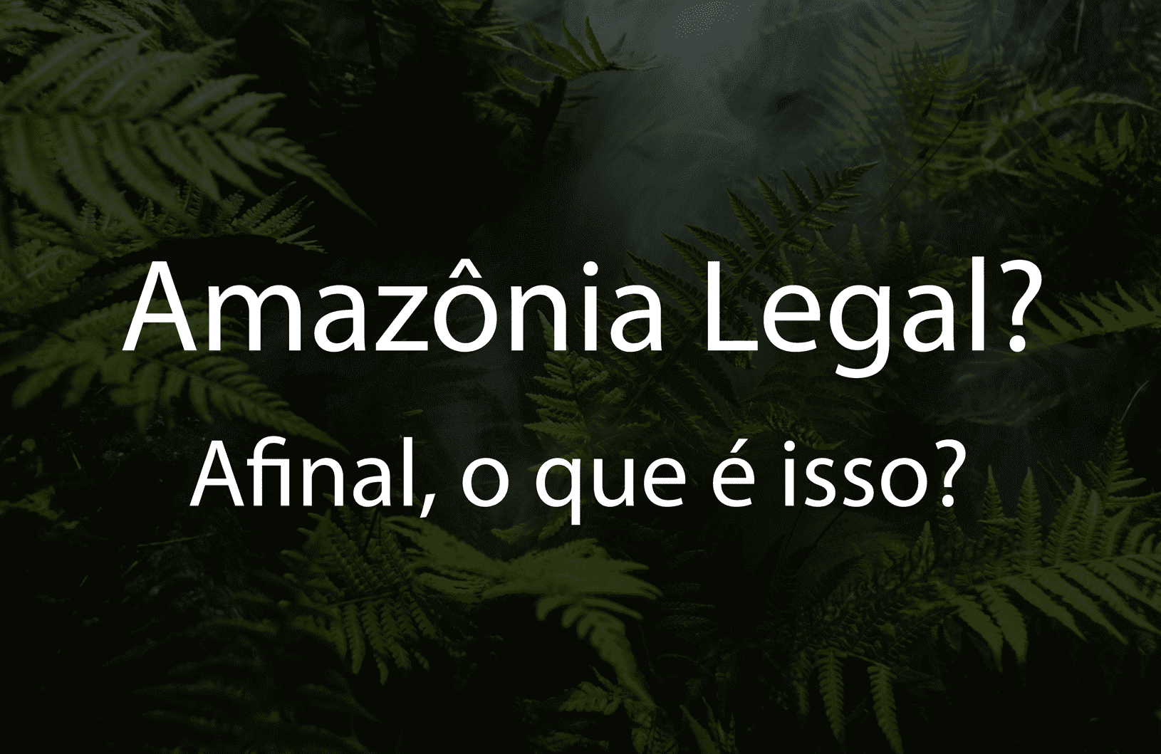 Amazônia Legal, entenda quais os riscos e benefícios na prática