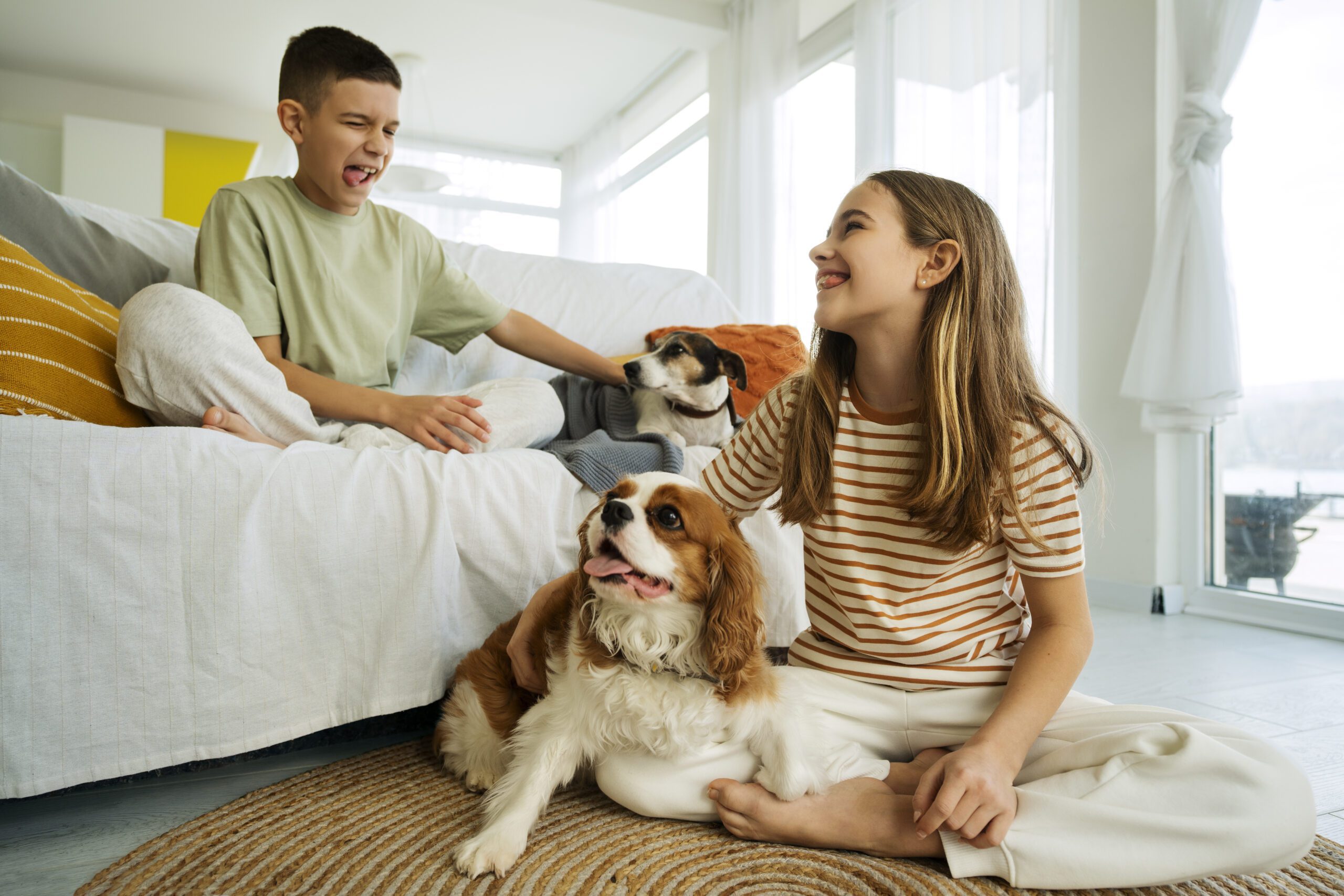 7 Raças de cães mais indicadas para quem tem crianças em casa!