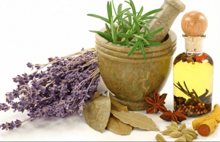 Repelentes naturais: quais são e como usá-los?